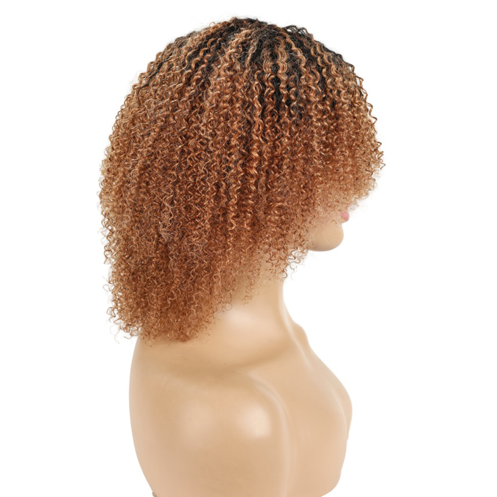 Wig Rambut Manusia Peru Model  - Short Pixie Cut Wig Human Hair Cheap ulasan dan harga